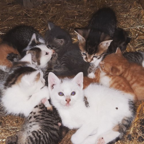 IMG_20210620_110530_356